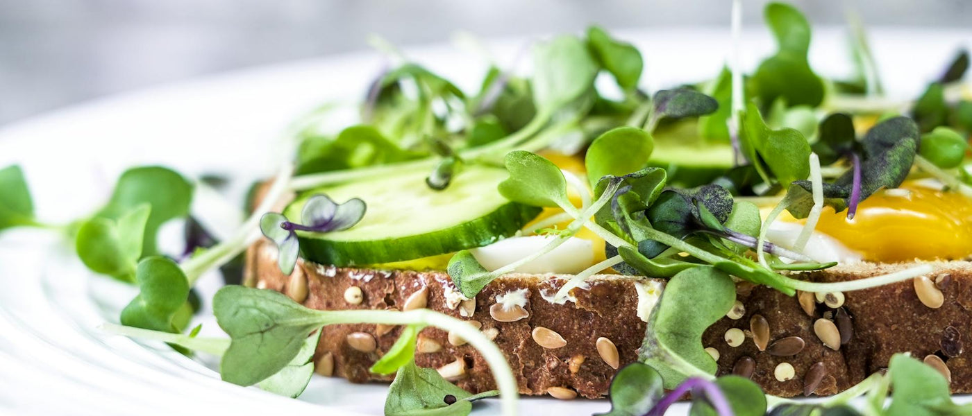 Circadian Eating: How Does It Change During the Spring?