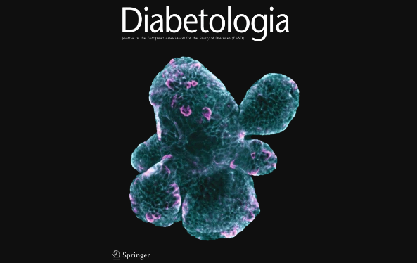 Integration of a fasting-mimicking diet programme in primary care for type 2 diabetes reduces the need for medication and improves glycaemic control.