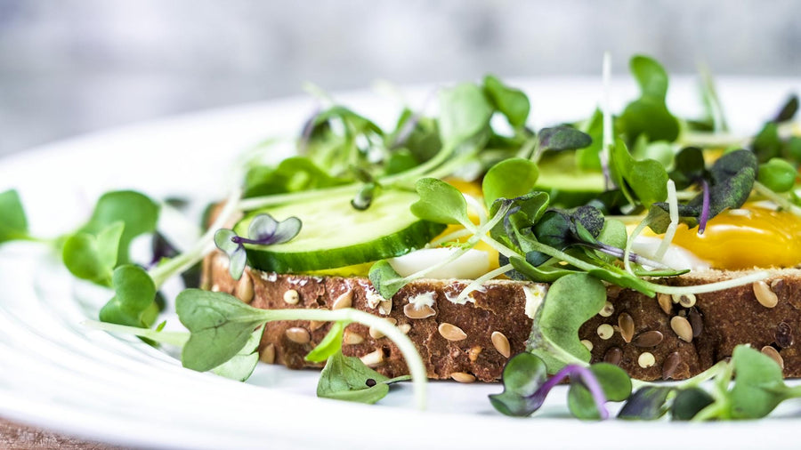 Circadian Eating: How Does It Change During the Spring? - Prolon Life