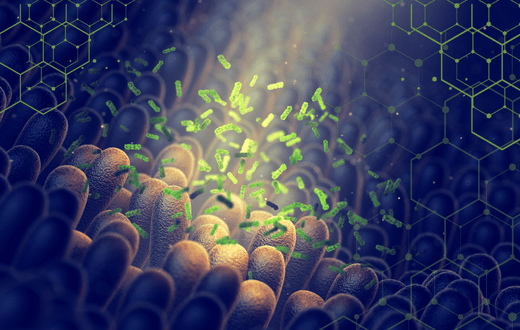mTOR: What It Is and How it Affects Longevity - Prolon Life