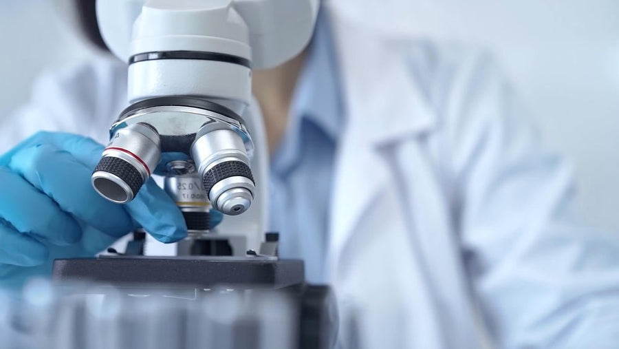 Prolon makes history: first nutrition program proven to trigger autophagy in humans - Prolon Life