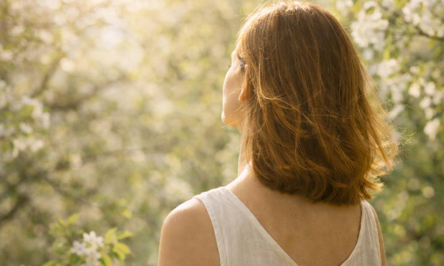 The rhythm of cellular renewal: reset and rebuild - Prolon Life