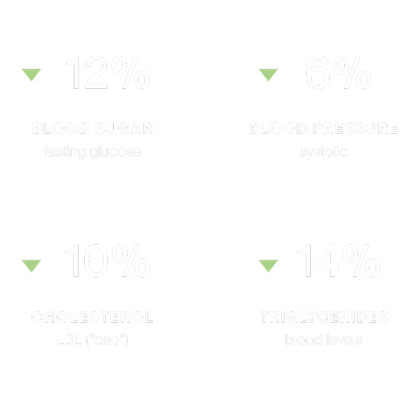 Metabolic health - Detail
