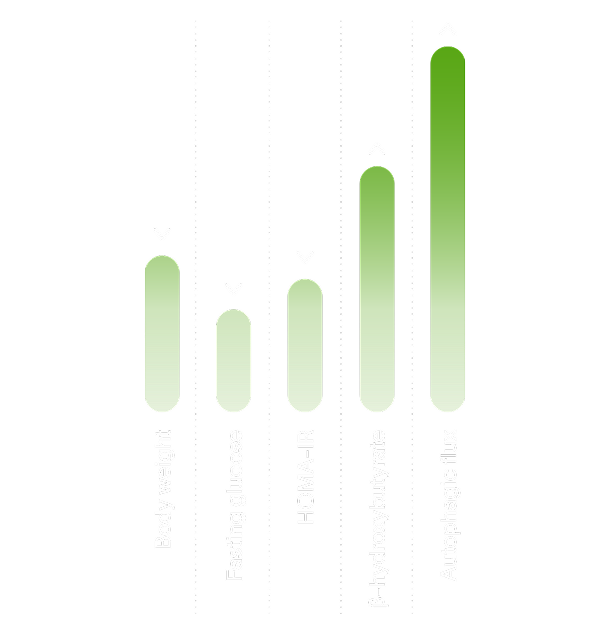 Cellular renewal - Detail