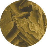 BLOOD LIPIDS / CHOLESTEROL